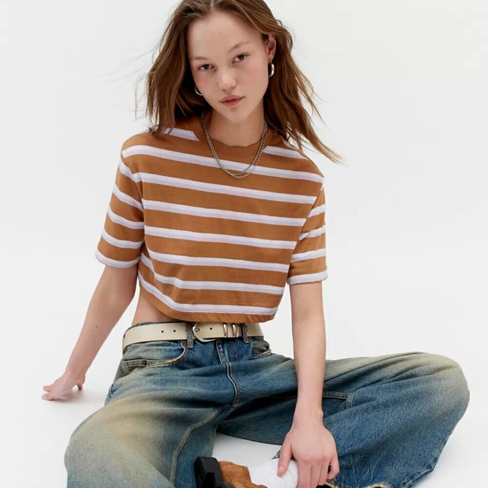 NWT Urban Outfitters BDG Boyfriend Brown Striped Cropped Boxy Tee